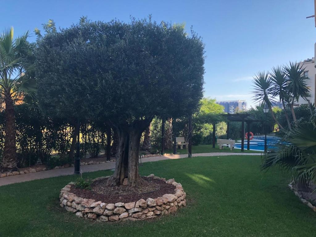 Panorama Park, Punta Prima, 5 Star Luxury 2 Bedroom Apartment Like No Other Alicante Eksteriør bilde